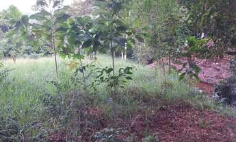 Imagem 4: Vende-se chácara com 2.000 mil metros quadrados em paraty - RJ