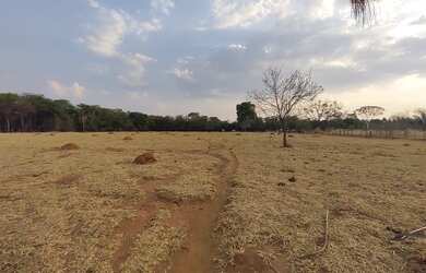 Imagem 4: Chácara para venda, exelente para incorporação, com 55875m² próximo ao Campus da UFG - Goi