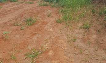 Imagem 7: Terreno Padrão - Setville Altos de São José