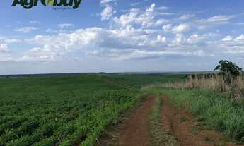 Imagem 3: Fazenda em Pedro Afonso Com 607 Alqueires