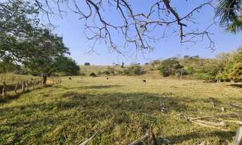 Imagem 4: Fazenda/Sítio/Chácara para venda em Descoberto-MG