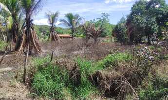 Imagem: Vendo terreno na entrada de Saubara