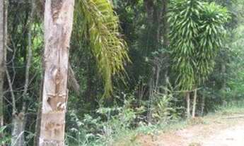 Imagem 5: Terreno à venda, 40000 m² por R$ 250.000,00 - Jardim Verona - Ribeirão das Neves/MG