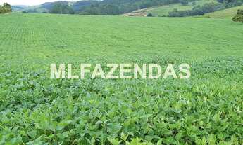Imagem 6: Fazenda em Turvelândia MG