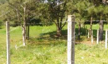 Imagem 4: Excelente Chácara Sem Benfeitorias