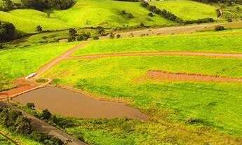 Imagem 5: TUIUTI - Terreno Padrão - Tuiuti