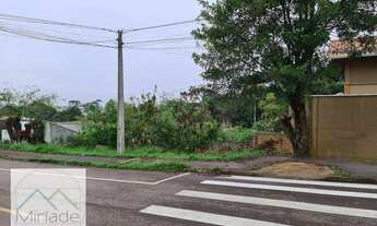 Imagem 5: Terreno em local alto no Jardim Paulista