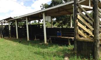 Imagem 5: Fazenda na Região do Paraíso do Manso (130km de Cuiabá-MT