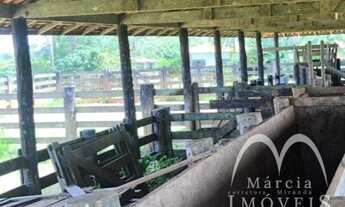 Imagem 6: Fazenda/Sítio/Chácara para venda com 13310000 metros quadrados em Marco Rondon - Pimenta B