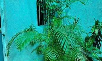 Imagem 7: Casa Comercial - Rua Professor Valadares - Aluguel - Grajaú