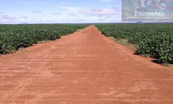 Imagem 4: Fazenda em Porangatu GO - 501 alqs (2.424,84 Ha