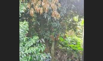 Imagem 7: Terreno à venda, 367 m² por R$ 850.000,00 - Centro - São Bernardo do Campo/SP