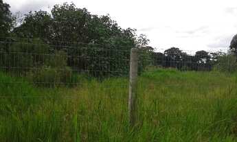 Imagem 6: Terreno Comercial para Venda em Curitiba, Sítio Cercado