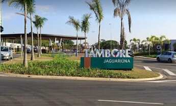 Imagem: Terreno - Duas Marias - Monte Alegre do