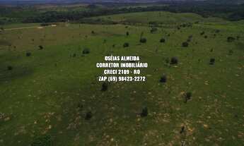 Imagem 6: 200 Alqueires em Machadinho-RO