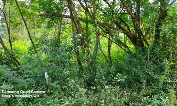 Imagem 5: Chácara à venda em Taquara RS