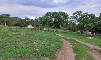 Imagem 6: Fazenda 39 alqueires Município de Varjão - GO