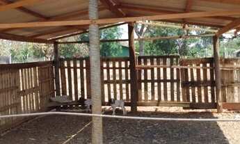 Imagem 5: Vendo Linda e confortável chácara 4.2 hectares à 8 Km da ucdb Campo Grande MS