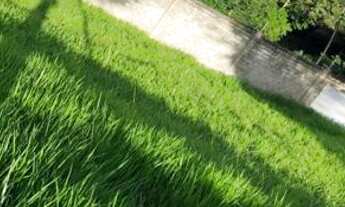 Imagem: Alphaville litoral norte 2