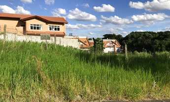 Imagem 3: Terreno ZR3, 60m de testada, 1.991,40m² de área total, ao lado da Av Holanda, à venda, Boa