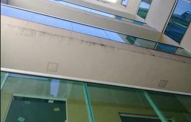 Imagem 5: Vendo lindo apartamento com 2 quartos em Bento Ribeiro - RJ