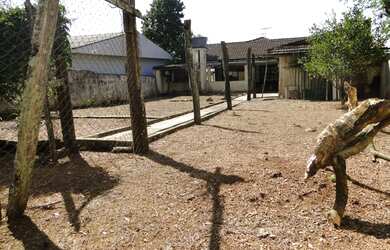 Imagem 2: CURITIBA - Terreno Padrão - Santa Quitéria