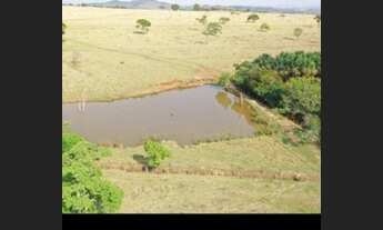 Imagem: Fazenda 67 Alqueires Plana 30 a 40 Alqueires