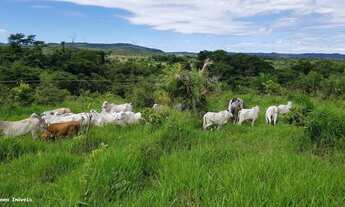 Imagem: Fazenda para Venda em Chapada dos Guimarães