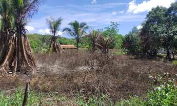Imagem 2: Vendo terreno na entrada de Saubara