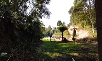 Imagem 5: Chácara com 12.100 m² Marmeleiro - Almirante Tamandaré