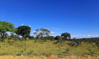 Imagem 3: 20.000m² com Rio nos fundos e terra de plantio