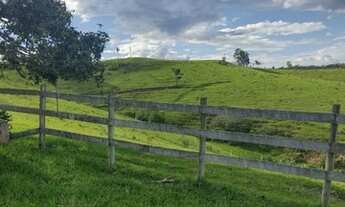 Imagem 5: Sítio em Itapetininga