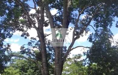 Imagem 4: Gameleira de Goiás - Chácara - Zona Rural