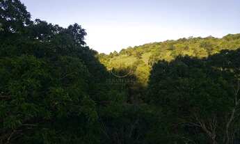 Imagem 5: Garopaba - Terreno Padrão - Macacu