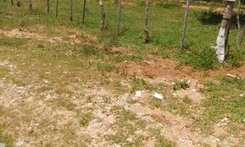 Imagem: 4 lotes no planalto 32mil tudo