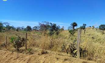 Imagem 5: FAZENDA À VENDA EM DOIS IRMÃOS - TO - 1.069,64 HECTARES (DUPLA APTIDÃO