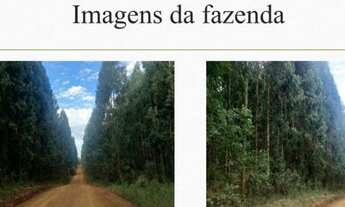 Imagem: Fazenda no RS com 269 ha excelente para