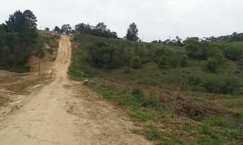 Imagem 6: CHACARA ROSEIRA 10 MIL METROS COM NASCENTE