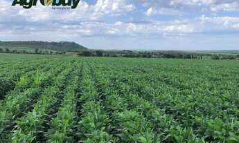 Imagem 5: Fazenda em Pedro Afonso Com 607 Alqueires