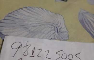 Imagem 7: Caso para alugar 3 quartos e 2 banheiros garagem 1 carros e 3 motos