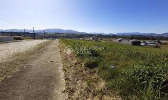 Imagem 4: ARROIO DO MEIO - Terreno Padrão - Medianeira