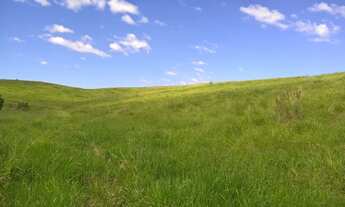 Imagem 7: Fazenda com 115 alqueires em são josé dos campos - plana e ondulada