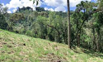 Imagem 7: Terreno no jardim Atalaia