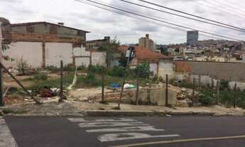 Imagem 3: Lote 375m2 Bairro Ipiranga