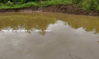 Imagem 6: Sítio de 1,5 alqueires em Conchas - SP