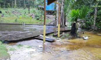 Imagem 6: VENDO SÍTIO / CHÁCARA