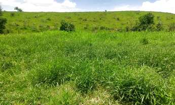 Imagem 2: Fazenda com 115 alqueires em são josé dos campos - plana e ondulada