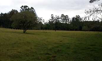 Imagem 2: Sítio 1 Dormitório(s) no Bairro Linha Nova Baixa em Presidente Lucena REF: 210205