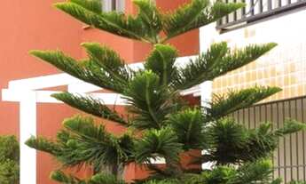 Imagem: Condominio Verde Vida - Inácio Barbosa