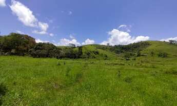 Imagem: FAZENDA ÀS MARGENS DA BR 393 - VASSOURAS